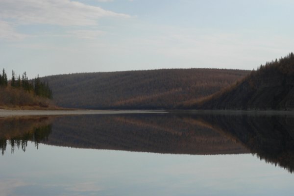 Кракен даркшоп