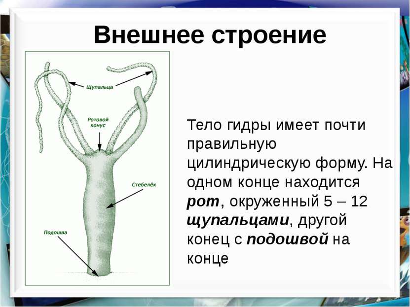 Сайт кракен kraken